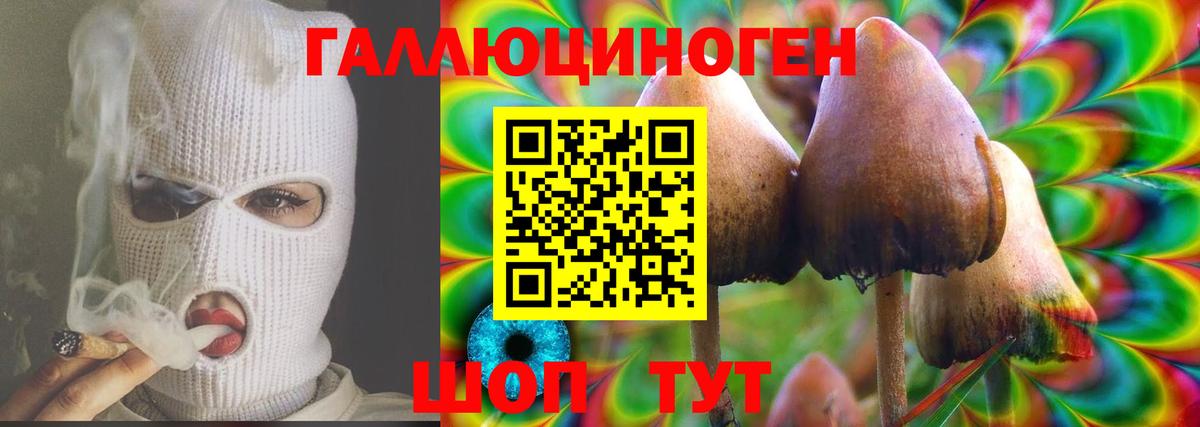 Галлюциногенные грибы MAGIC MUSHROOMS Фрязино