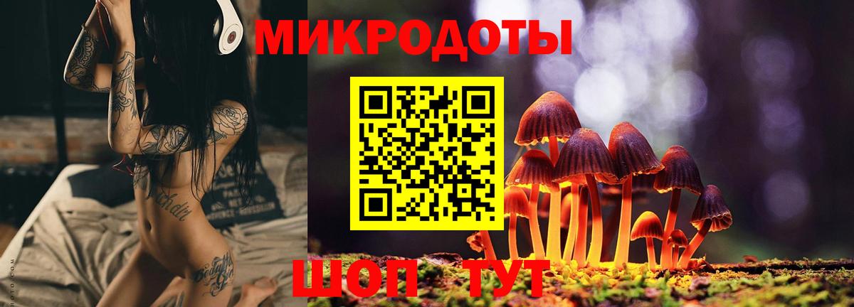 Фрязино  Галлюциногенные грибы Magic Shrooms  купить закладку  Псилоцибиновые грибы Cubensis  Вход с VPN 